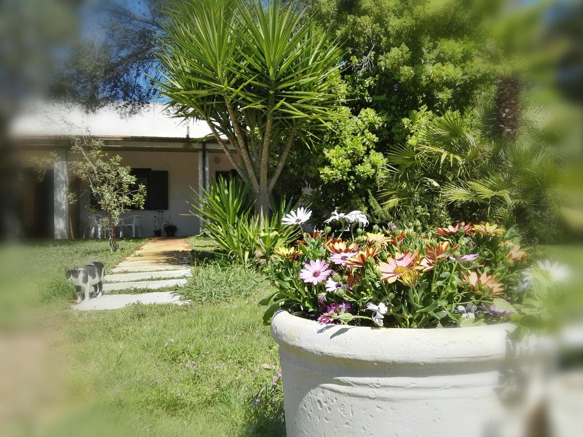 Missipezza Residence A Frassanito Alimini Bagian luar foto
